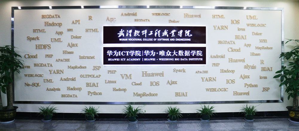 武汉软件工程职业学院华为ICT学院|华为·唯众大数据学院案例