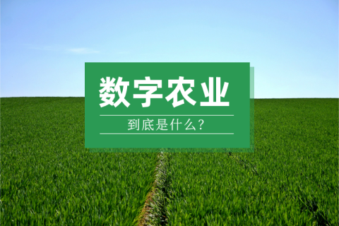 “数字农业”到底是什么？