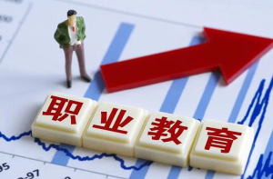 教育部职业教育与成人教育司司长陈子季：职业教育是怎么来的？