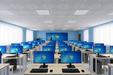 1+X Web前端开发职业技能等级证书建设方案