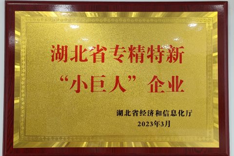 湖北专精特新小巨人企业