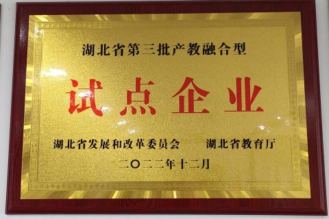 湖北省第三批产教融合型试点企业