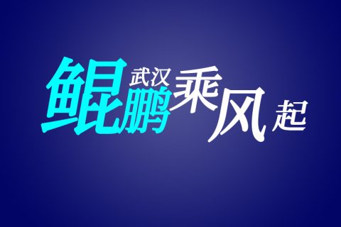 【武汉鲲鹏乘风起】先进制造、科技创新、数字社会...鲲鹏产业创新应用场景持续扩展